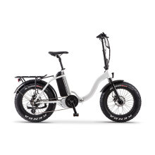 High Performance 350W Middle Motor Foldable Electric Bikes